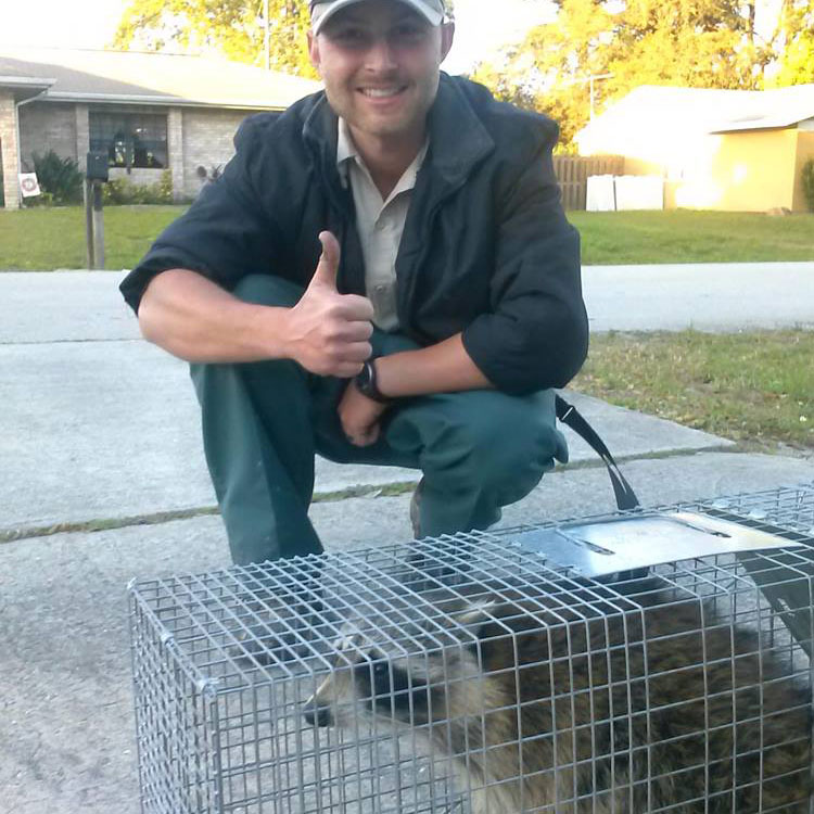 Hampton Roads Animal Removal - Raccoon, Snake, Pest Control in Virginia